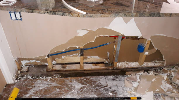 Best Local water damage restoration  in Cedar Lake, IN