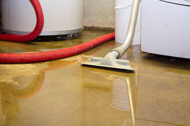 Best 24/7 water damage repair  in Cedar Lake, IN
