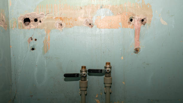 Best Water damage restoration near me  in Cedar Lake, IN