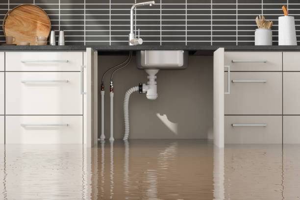 Water damage restoration experts in IN