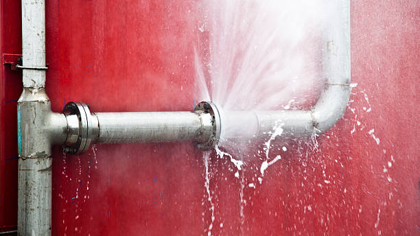 Best Residential water damage restoration  in Cedar Lake, IN